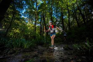 BIB: 
                            <button type="button" onclick="openModal(19239646)" class="btn btn-primary btn-sm float-right btn-popup" data-toggle="modal" data-target=".modal-high-quality">
                        <i class="fas fa-shopping-cart"></i> Add to Cart
                    </button>
                                            <button type="button" onclick="isThisMe(19239646, true)" class="btn btn-success btn-sm float-right btn-popup btn-isme hidden" data-toggle="tooltip" data-placement="bottom" title="นี่คือรูปของคุณใช่ไหม คลิกที่นี่เพื่อเอาเข้าอัลบั้ม">
                        <i class="fas fa-plus"></i> Add to album
                    </button>
                    <button type="button" onclick="isThisMe(19239646, false)" class="btn btn-warning btn-sm float-right btn-popup btn-isnotme hidden">
                        <i class="fas fa-ban"></i> Remove from album
                    </button>